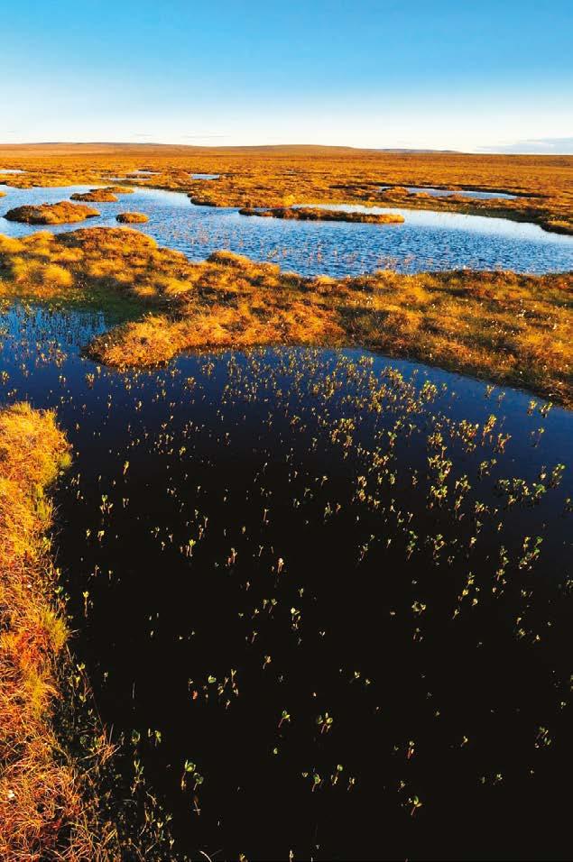 money as problems are resolved before peatland condition deteriorates further.