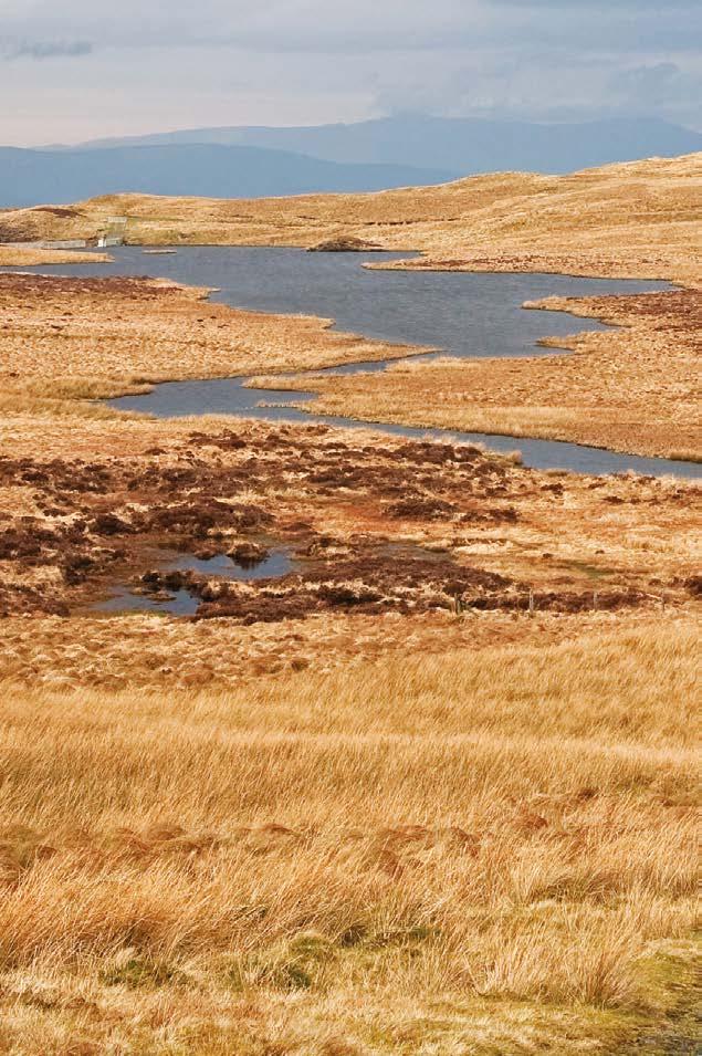 Flow Country Scotland With 10% of the UK s blanket bog and almost 5% of the world s resource, this is one of the UK s most