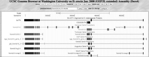 UCSC Genome Browser mirror Under the Genes and Gene Prediction Tracks section Access the predicted peptide sequence: Click on the feature, and then