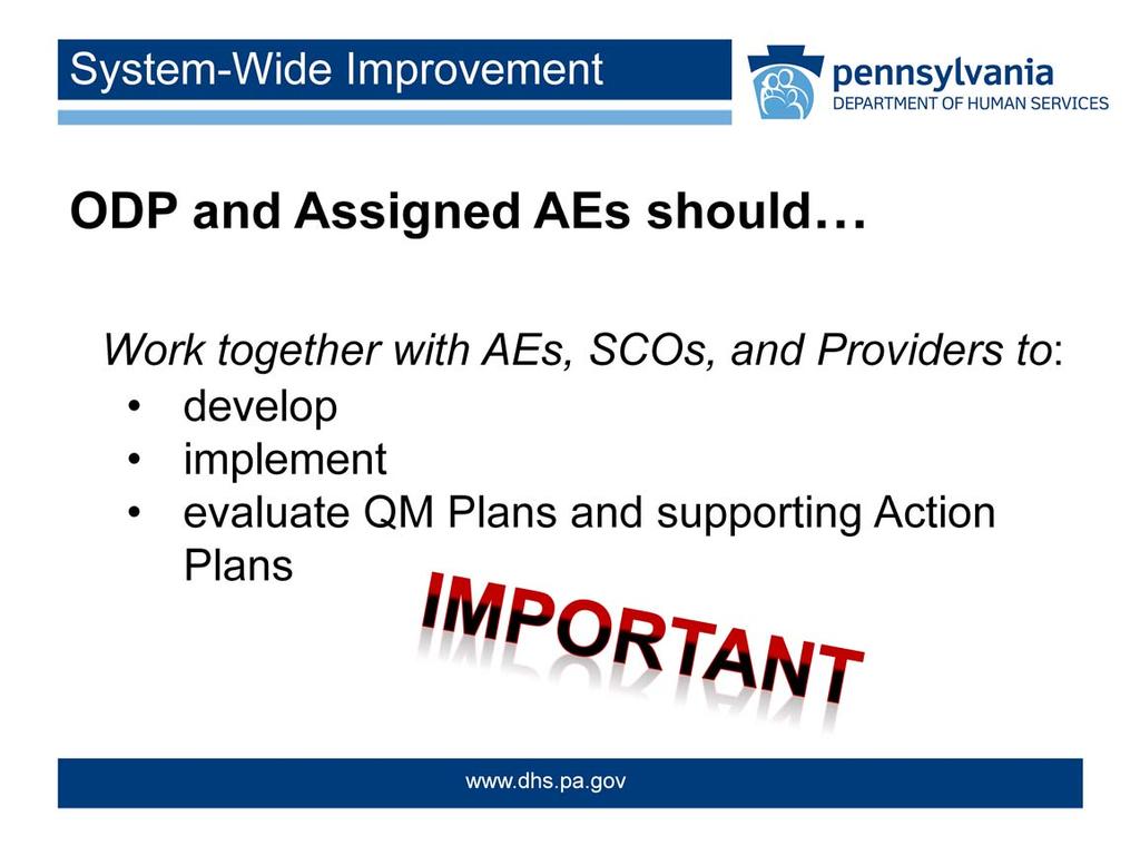 The QA&I Process provides unique opportunities for ODP to work with AEs and SCOs and for Assigned AEs to work with designated Providers to identify focus