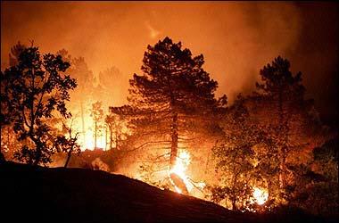 Impact Factors: Abiotic disturbances (wind, snow, fire) Extreme weather patterns (drought, flooding, wind storms) are projected to intensify and will have