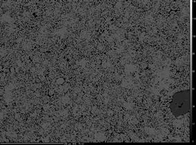 1: Back-scattered SEM images of three biphasic compositions: 25BPCP(B), 50BPCP(C), 75BPCP(D) and their calcium phosphate components-- HA (A) and β-tcp (E).