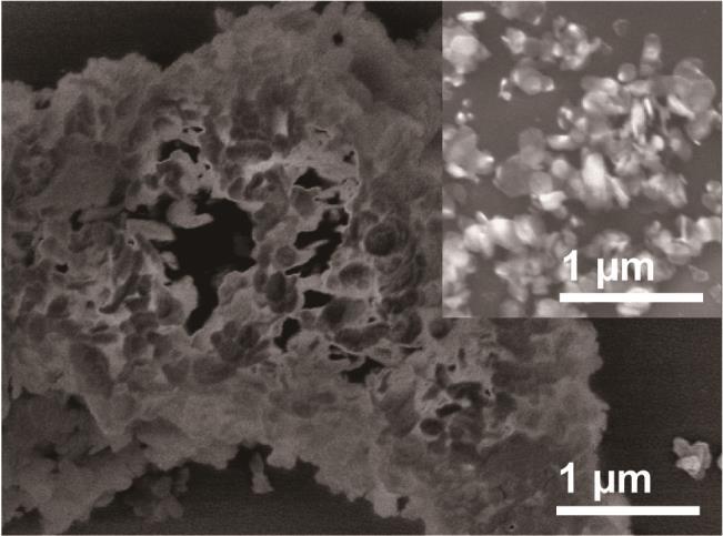 Figure S3. SEM image of granular LDH; particles obtained after sonication shown in inset.