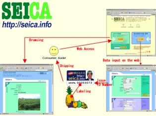 Fig. 1. Scheme of the information disclosure system for fruit and vegetable products, SEICA.