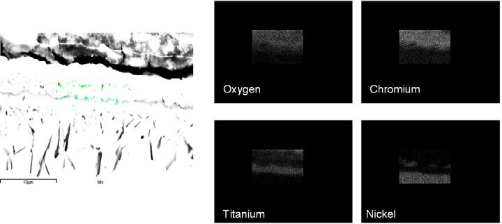 Figure 4: X-ray map of oxide layer form after 100 hr at 871 C 1400 F in wet air.