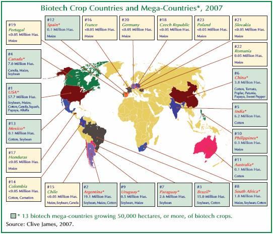 GM CROPS Worldwide Crops [2007] (million ha) 60 50 58 40 30 36 20 10 0 15 5 Soybean 대두옥수수 Maize Cotton 면화 Canola 캐놀라 Traits (2007) 80 (million