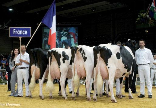 3 France still among the world leaders From as early as 2001, the breed selection programmes for the Holstein, Montbéliard and Normande have been constantly optimized (candidate bulls screening ahead
