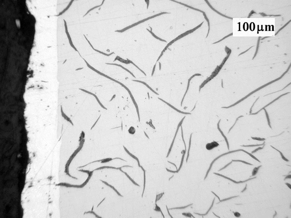 Fig 4 Microstructure of cst iron with flke grphite fter hot dip zinc glvnizing; zinc coting without oxidtion, zinc coting with oxidtion, 950 o C, 8h, scle removed mechniclly. Fig.