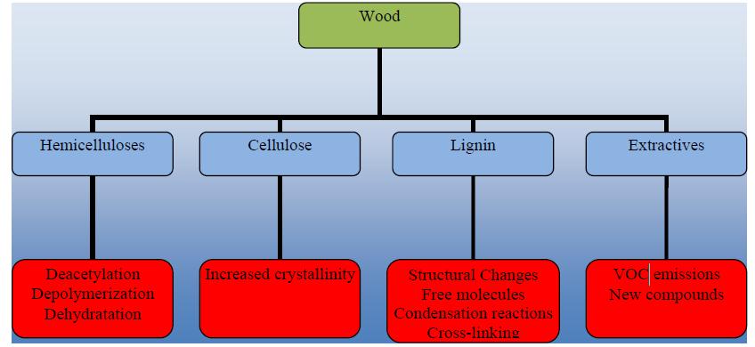 Thermal degradation of wood components Thermal degradation in wood occurs through complex chemical reactions that