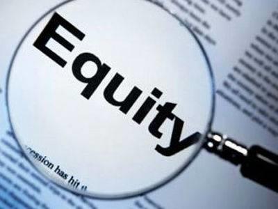Equity Investment - Shares Unlike others, equity investment is different from other benefits