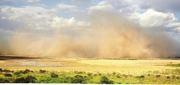 FIGURE 11 Dust Storm Over a field in Africa, wind blows dust particles into the air. Sources of Air Pollution Air pollution can be caused by natural processes and human activities.