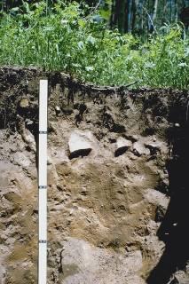 2) soil interpretations, 3) practice specifications; and 4) economic practicality for the landowner Identifying key soil