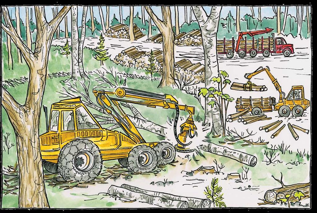 Cut-to-length Logging 1 9 2 Cut-to-length logging is the most technologically advanced timber harvesting system in Wisconsin.