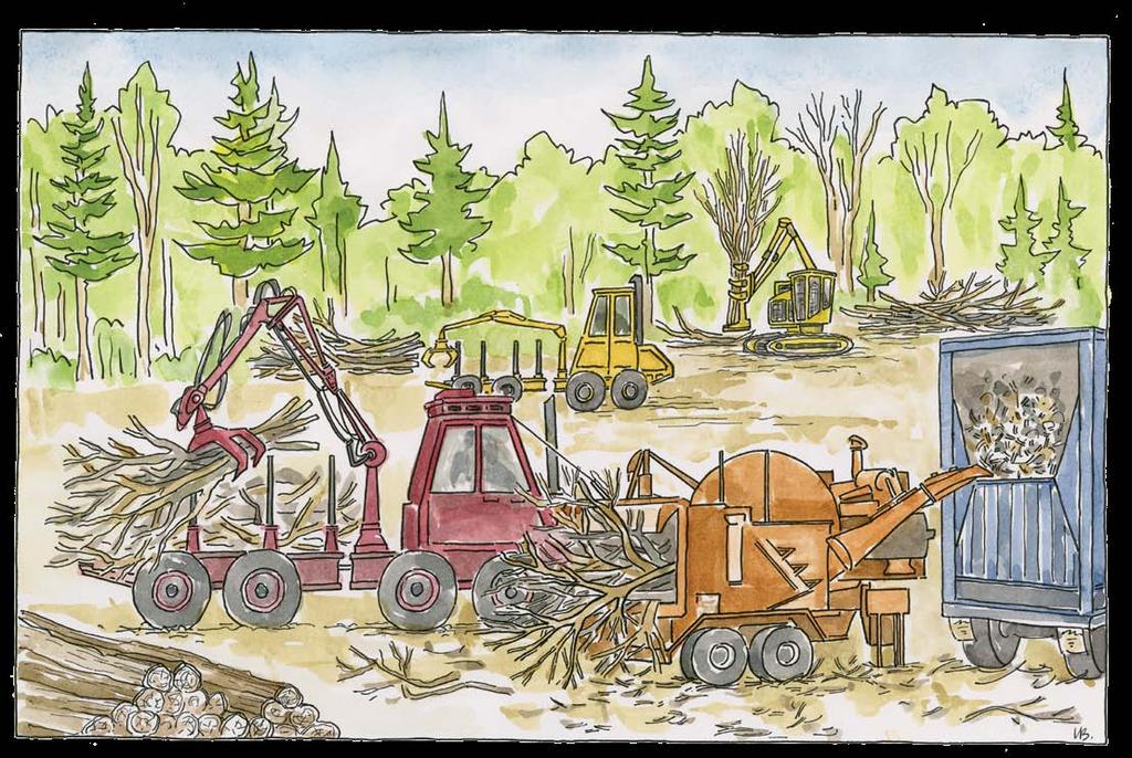 A chipper at the landing converts whole trees into wood chips. Trees are fed into one end of the chipper and clean wood chips are blown out the other end into a chip van.