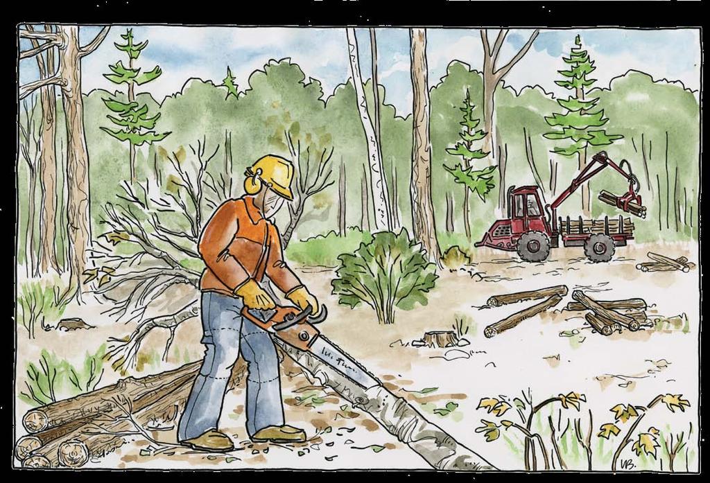 Therefore slash is left on the forest floor and does not accumulate at the landing. Second, forwarders typically haul larger loads than cable skidders.