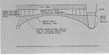 available water can be held in the profile that would otherwise drain (Figure 2). (Plant available water is any water retained in the soil that plants can use.