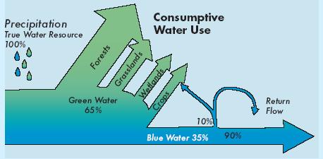 use through evaporation from wet soil and transpiration from plants (green water).