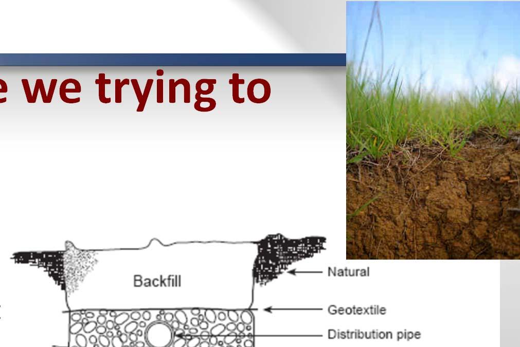 Soil Absorption what are we trying to accomplish?
