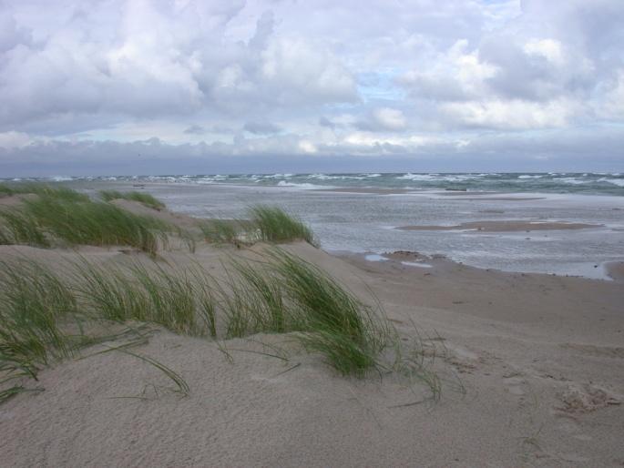 the Baltic Sea