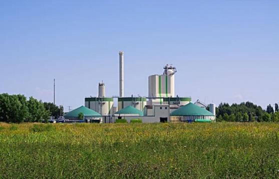 Power Biomass Power