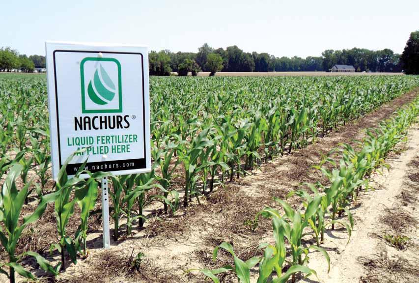 Maximize Phosphate efficiency with NACHURS In-furrow fertilizer By Joe Pflum, Eastern Region Sales Agronomist- Indiana We have not yet reached the genetic yield potential