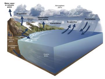 Hydrological Cycle Hydrologic Cycle The hydrologic cycle plays a central role in nutrient cycles (biogeochemical cycles). Thought Lab 2.1 2.2 Biogeochemical Cycles Pg.