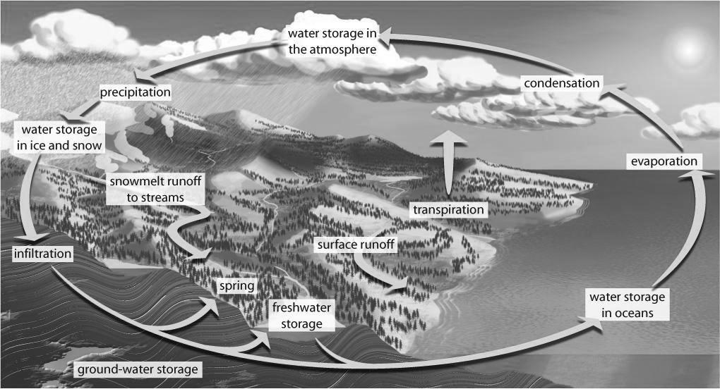 Biology 20 Chapter 2.1_keyed The Hydrological Cycle Biogeochemical Cycle: the cyclical route that water or other chemical nutrients take through the biotic and abiotic components of the biosphere.