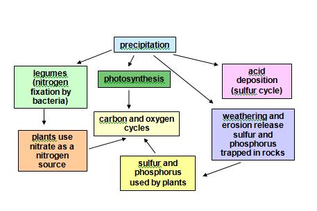 The cycling of matter through the biotic and abiotic components of the biosphere allows all organisms to obtain nutrients.
