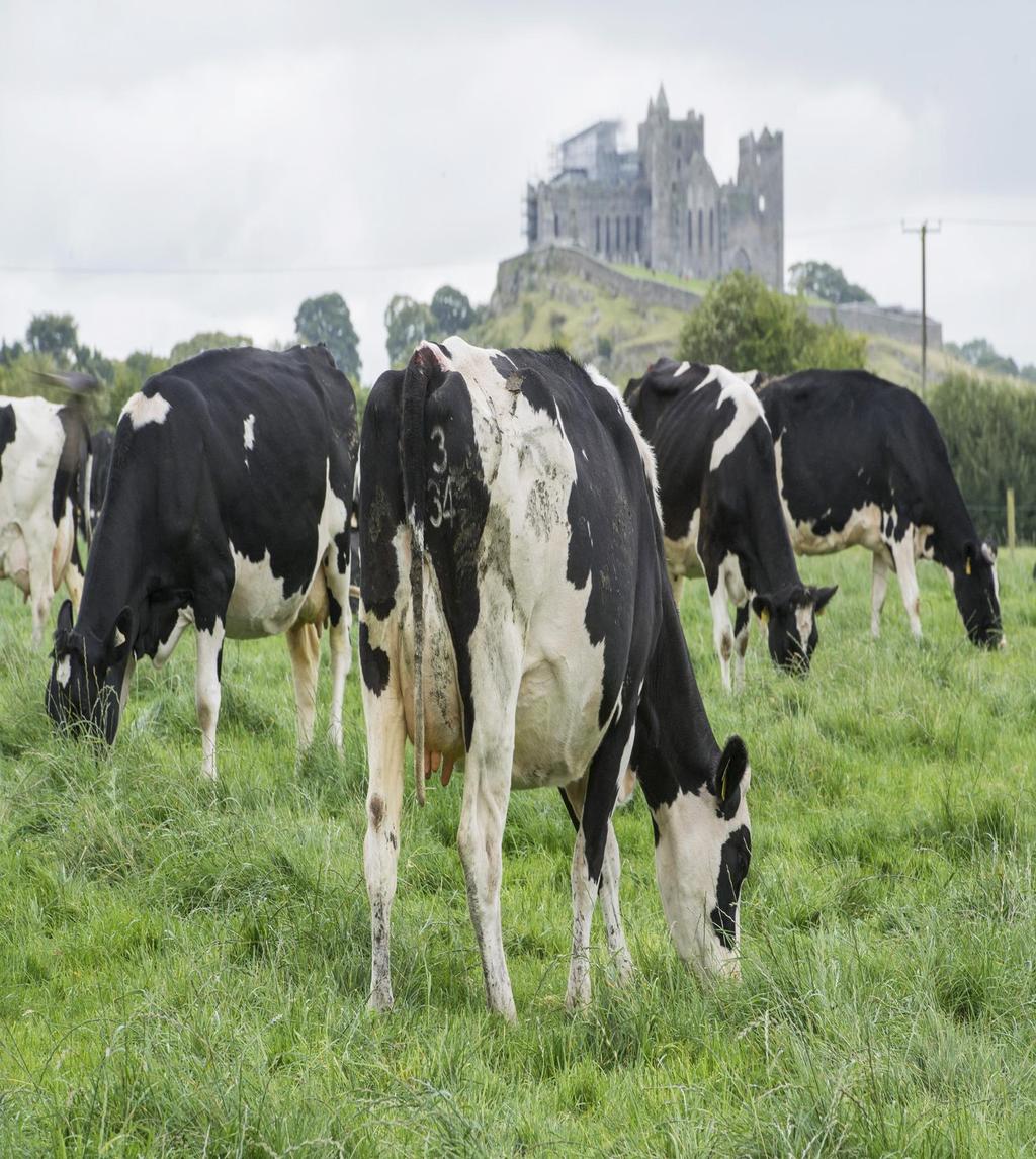 Aim: Identify the priority knowledge transfer (KT) supports required by high profitability dairy farmers (HPDF) Background Amongst Ireland s dairy