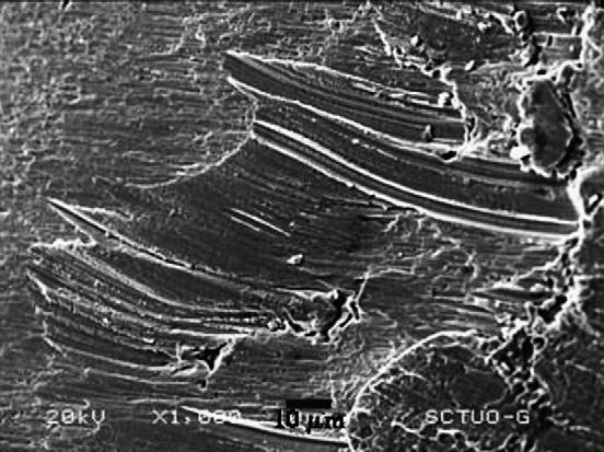 672 MATERIALS CHARACTERIZATION 59 (2008) 669 674 Fig. 7 Failure surfaces in 500 C compression tests for the low-carbon high-chromium cast iron (1000 ). Fig. 10 Worn surface after the wear test (high-carbon white cast iron).