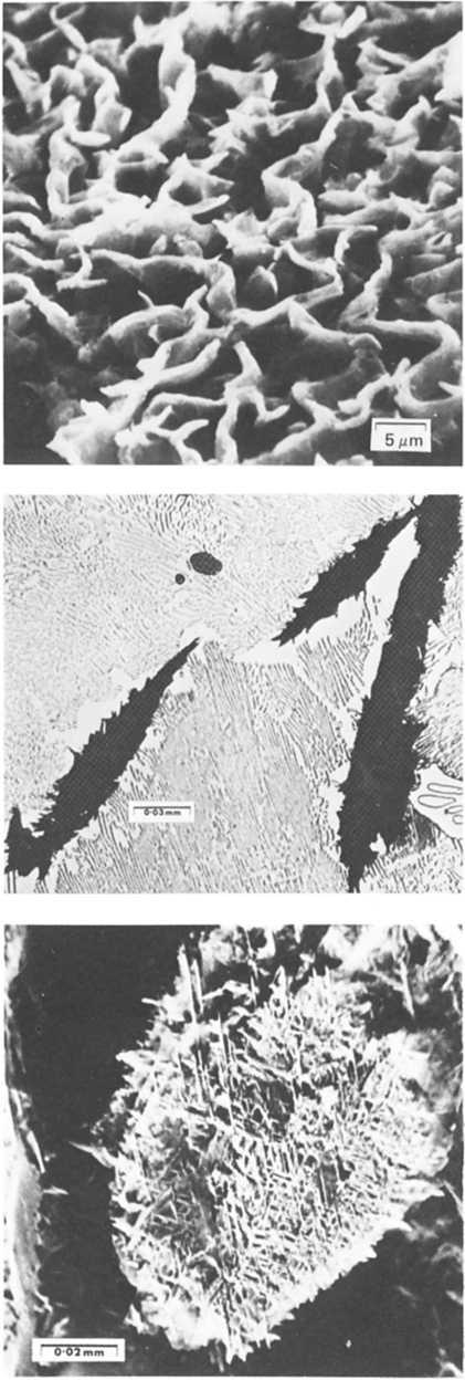 226 Microstructural features of cast irons Figure 6.14 is a S.E.M. micrograph taken from the iron shown in Figure 6.13.