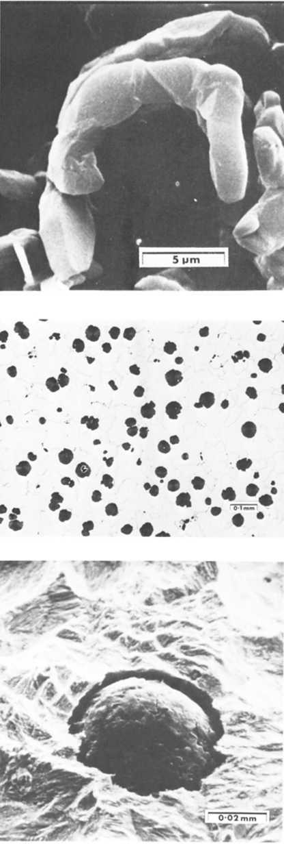 Microstructural features of cast irons 229 Figure 6.21 is a S.E.M. micrograph from a similar specimen and shows a step instability on the graphite surface which has travelled to the edge of the