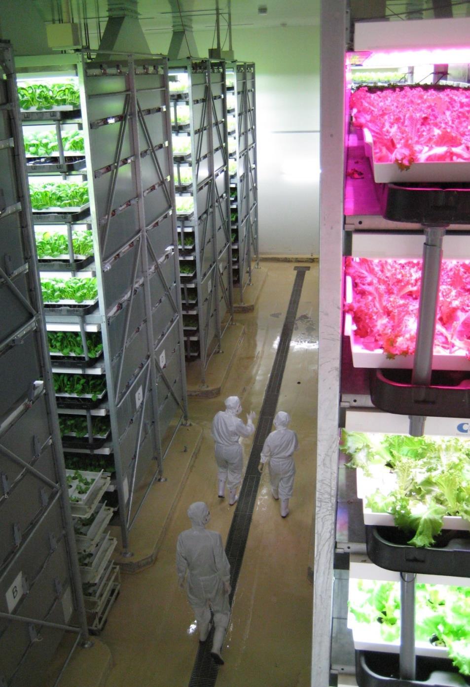 LEDs opens opportunities for vertical farming Full control production process Limited area Anywhere Independent