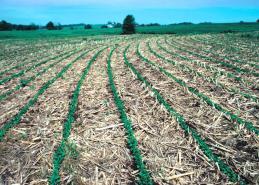 Conservation tillage: any tillage system that reduce the loss of soil or water when compared to a non-ridged conventional tillage