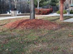 to produce seeds. Mulches exclude light and smother weeds.