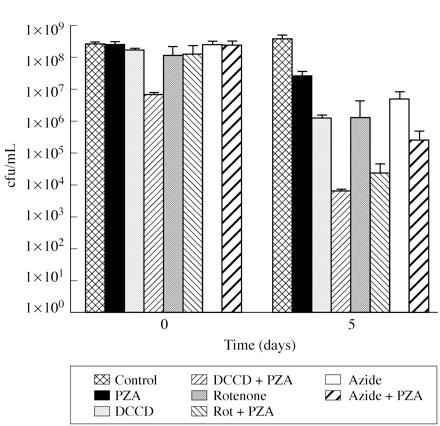 Enhanced PZA activity by energy inhibitors Zhang et al.
