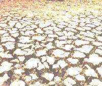Crop Yield Drought Drought = moisture deficit stress water stress PWP FC Water logging Soil moisture Meteorological drought: Deficit in