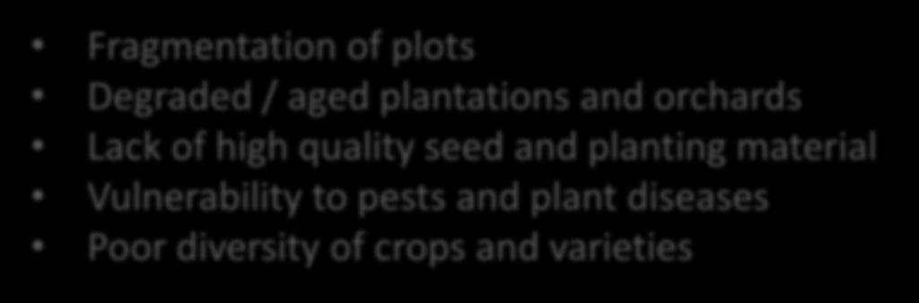 Degraded / aged plantations and orchards Lack of high quality seed and planting material