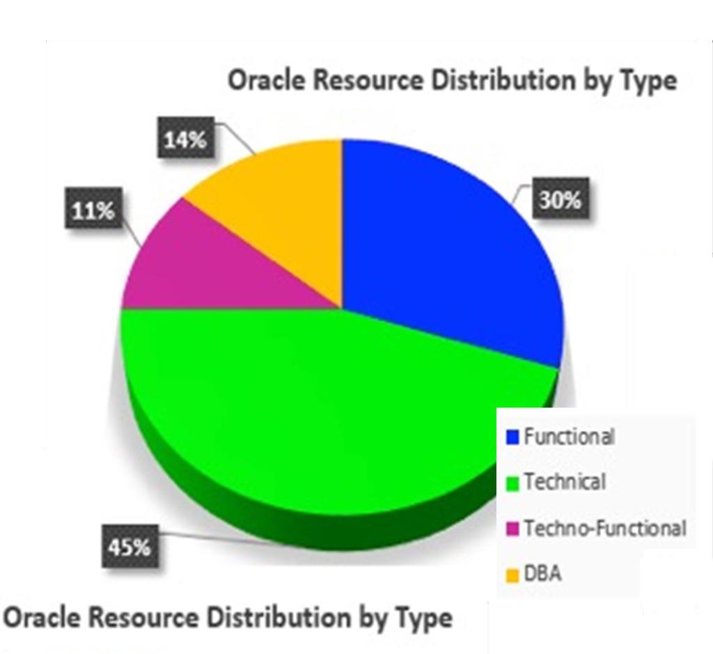Capabilities Maximize The Return On Your Technology Investment Dedicated Oracle Resources Oracle