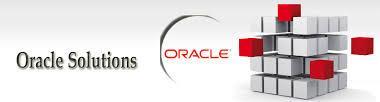 We will configure the best use of Oracle s solutions to support