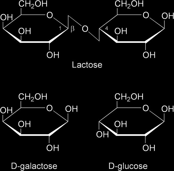 Jacob and Monod came to understand that the glucose would first be utilized (preferred source) and the lactose would be digested after the depletion of glucose.