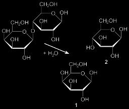 Hydrolysis of lactose to galactose and glucosetwo chemical reporters used to reveal the presence of a