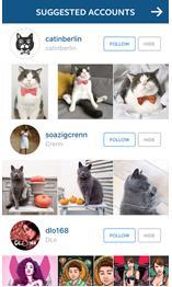 Step 9: Instagram will then show you suggested accounts to follow based on your interests.