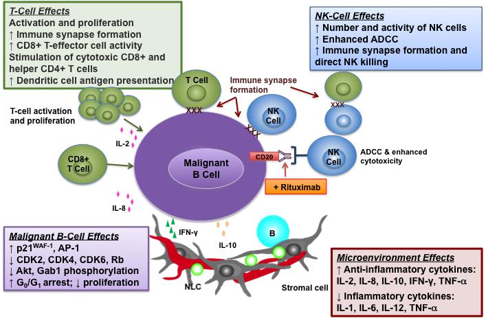 IMiDs/CelMODs Are Highly Effective Oral Drugs That Activate Multiple Components Of The Immune System