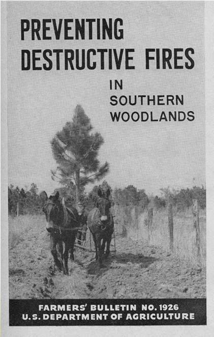 to be reforested with faster growing southern pine
