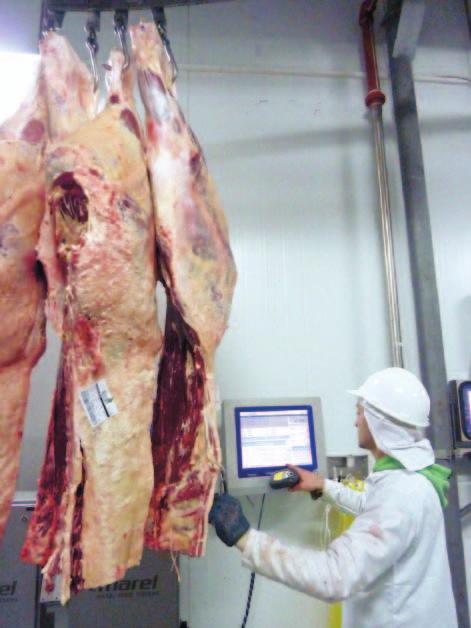 Empowering meat processing With over thirty years of partnerships within the food industry, and a