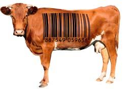 involved in the mandatory meat processing system farmers, producers and government authorities.