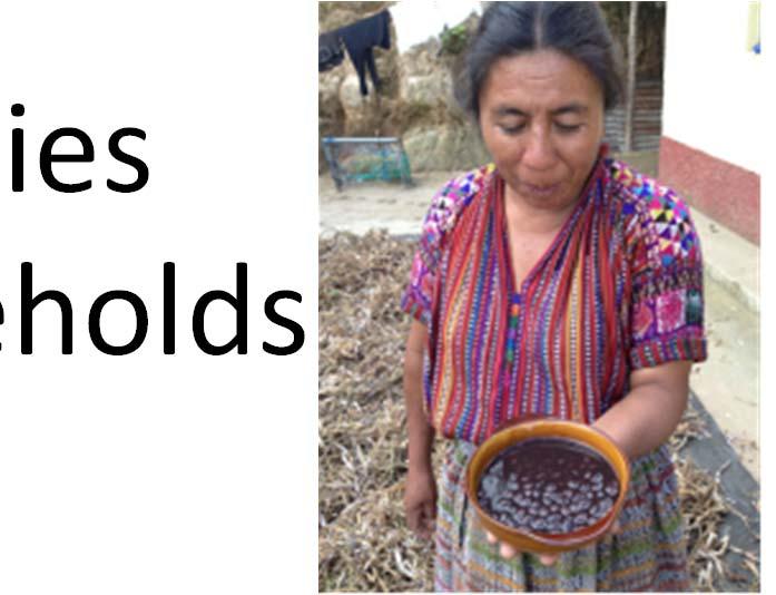 New black bean varieties grown by >50,000 households Program: Feed the Future