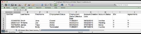 Reports Section (continued) HSA Account Detail Report The monthly HSA Account Detail Report provides you with an overview of each Employee s HSA along with individual payroll deduction and Employer