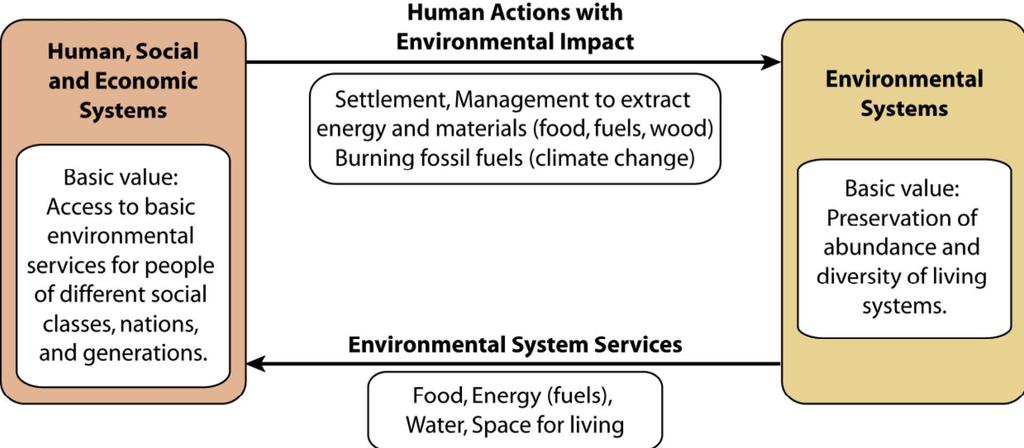 Defining Environmental Science